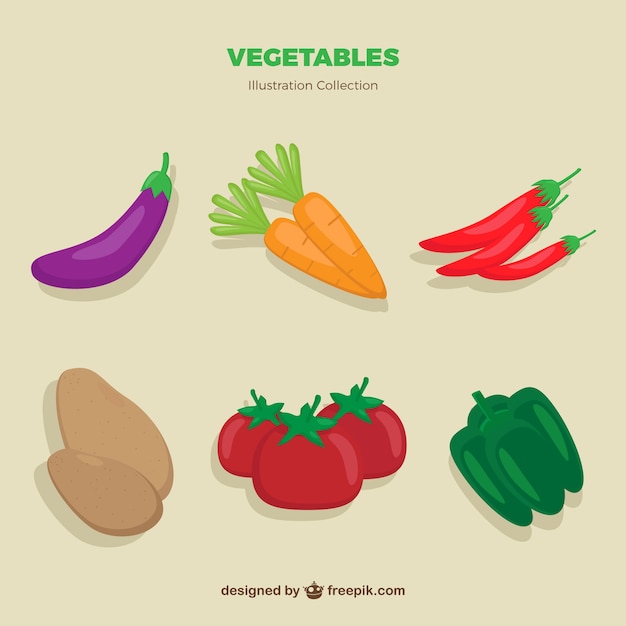 Hand drawn vegetables pack