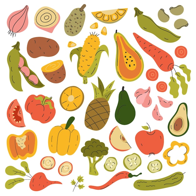 Vector hand drawn vegetarian food collection