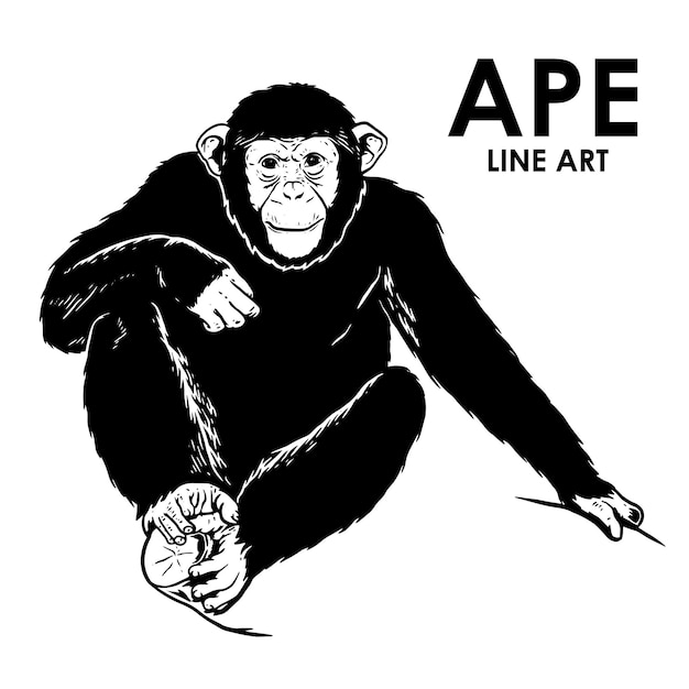 Hand drawn vintage ape premium vector