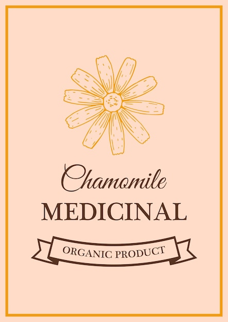 Vector hand drawn vintage chamomile herbal tea packaging design vector illustration in sketch style