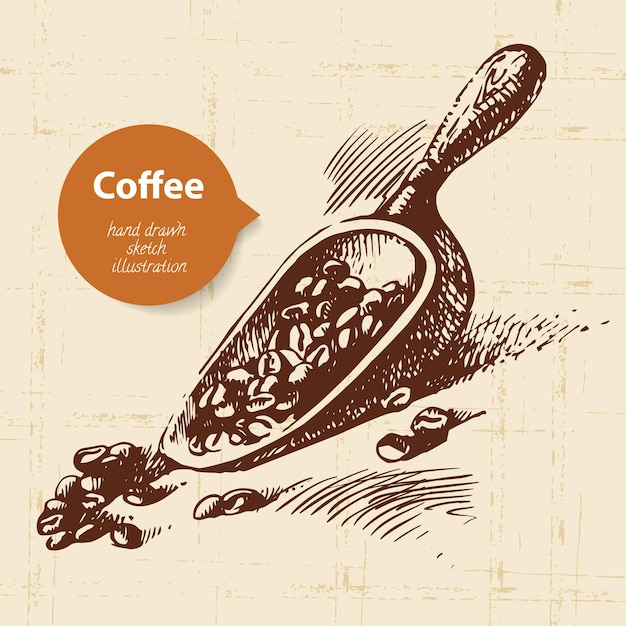 Sfondo caffè vintage disegnato a mano