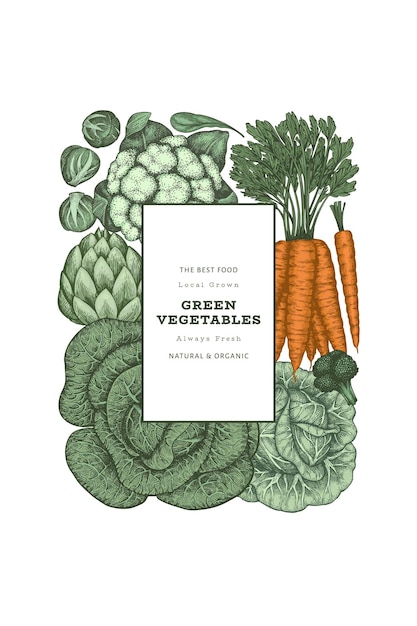 Vector hand drawn vintage color vegetables. organic fresh food