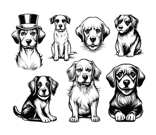 Vector hand drawn vintage dog vector collection set