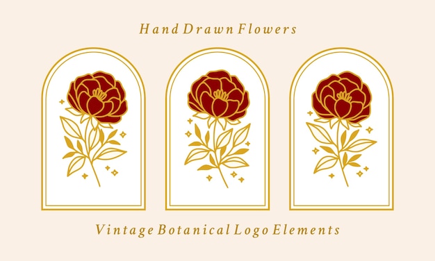 Hand drawn vintage gold botanical peony flower logo element collection