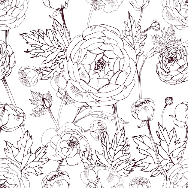 hand drawn vintage outline floral seamless pattern with ranunculus flower.