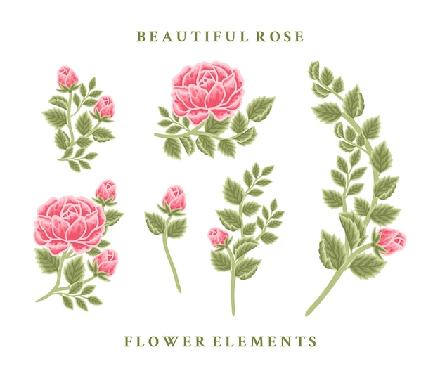 Composizione floreale vintage rosa rossa disegnata a mano e collezione di elementi bouquet