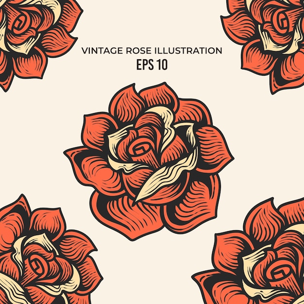 Vector hand drawn vintage roses illustration