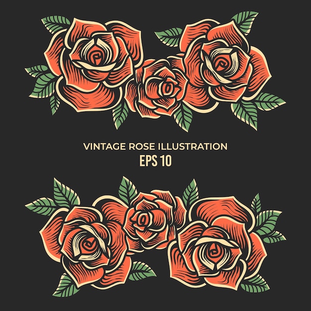 hand drawn vintage roses illustration