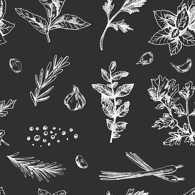 Hand drawn vintage seamless culinary herbs garlic rosemary and spice pattern in engraved style