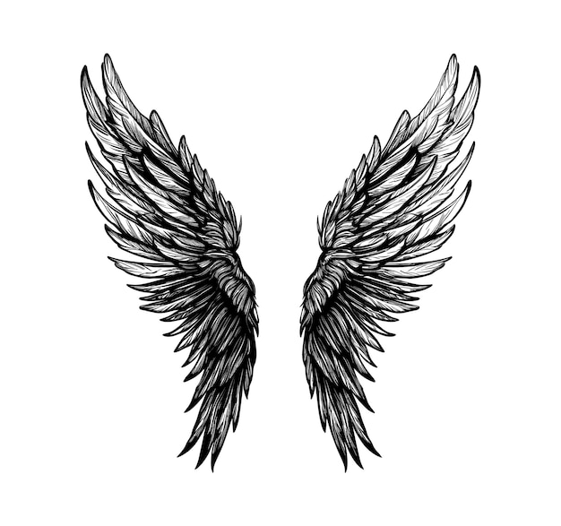 Hand drawn vintage vector wing