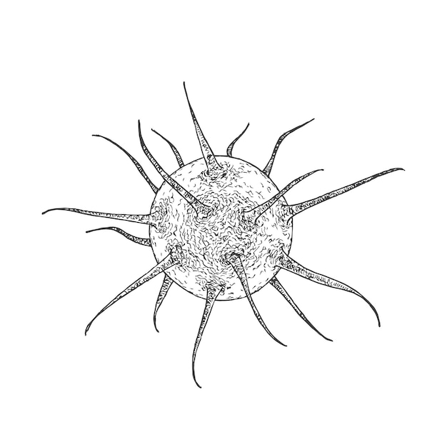 Vector hand drawn virus vector illustration. bacteria doodle sketch. isolated.