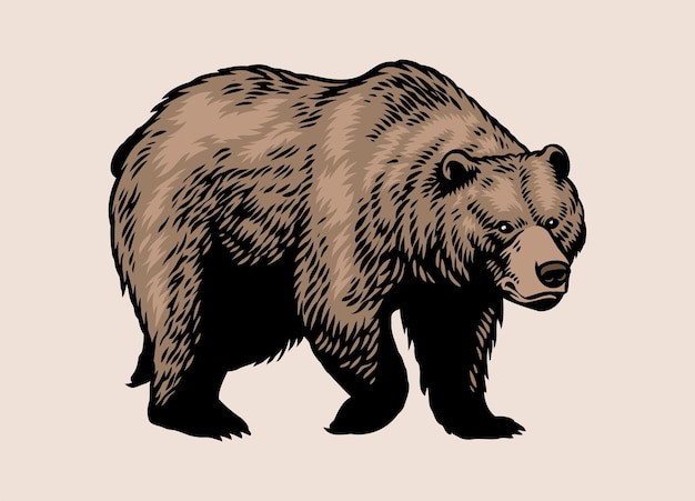 Hand Drawn of Walking Brown Bear