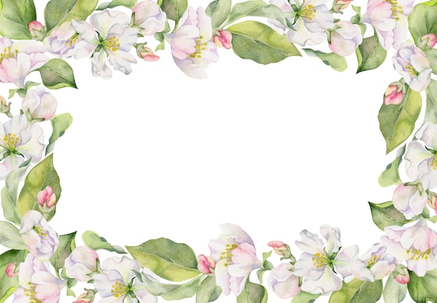 Vector hand drawn watercolor apple blossom white and pink flowers with green leaves square frame composition isolated object on white background design for wall art wedding print fabric cover card