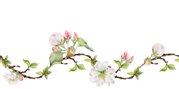 Hand drawn watercolor apple flowers branches and leaves white pink and green Seamless horizontal banner Isolated on white background Design for wall art wedding print fabric cover card