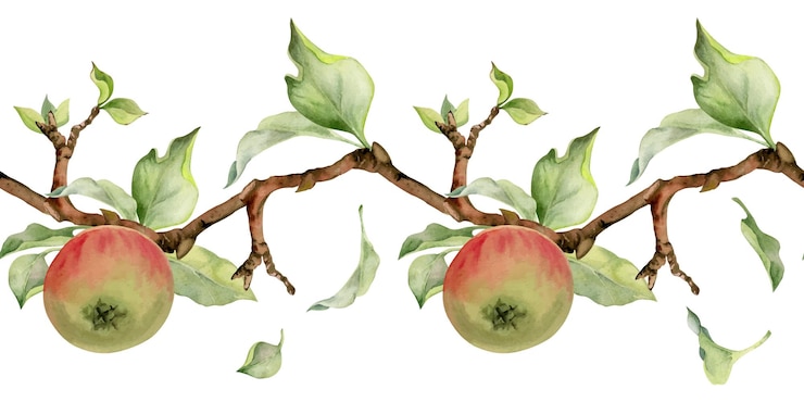 Vector hand drawn watercolor apple fruits branches and leaves red and green seamless horizontal banner isolated on white background design for wall art wedding print fabric cover card