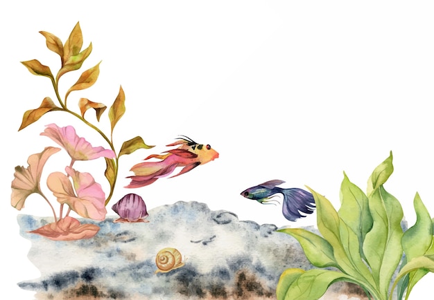 Hand drawn watercolor aquarium fish algae and sealife snails shells marine exotic underwater illustration isolated on white background design for shops brochure print card wall art textile