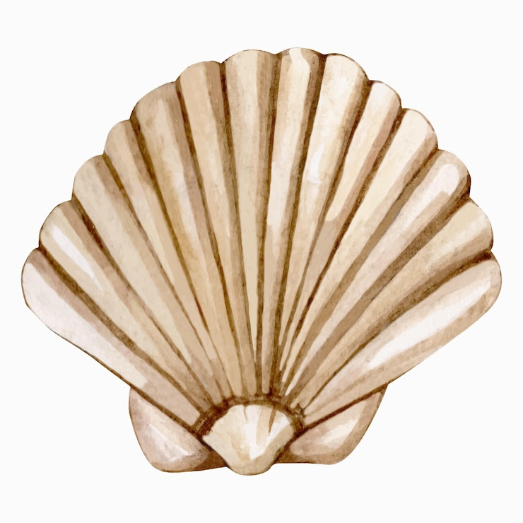 Vector hand drawn watercolor beige seashell illustration isolated on white background watercolour scallop