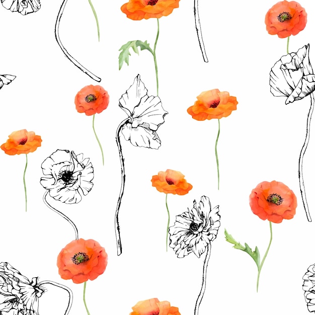 Vector hand drawn watercolor botanical illustration flowers leaves red poppy papaver stems buds seedpods