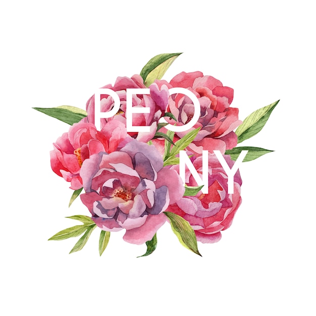 Hand drawn watercolor bouquet of peonies flowers with text