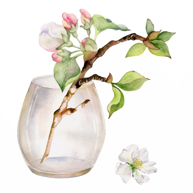 Нарисованная вручную акварельная композиция с цветами яблони на ветке с листьями и стеклянной бутылкой, изолированной на белом фоне. Дизайн для настенного искусства.