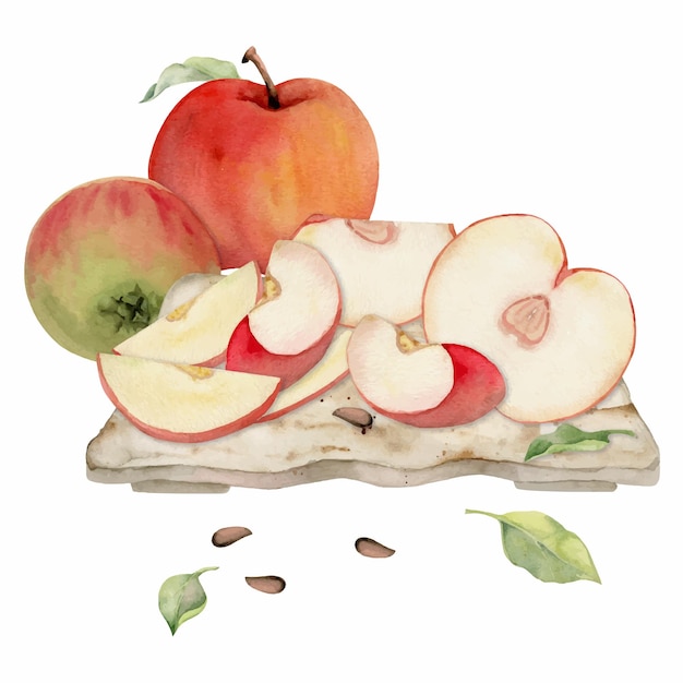 Ручная акварельная композиция с фруктами яблок на керамической тарелке, полная и нарезанная листьями и семенами, изолированная на белом фоне.