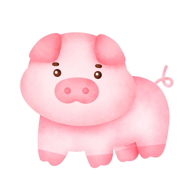 Hand drawn watercolor cute pig character.