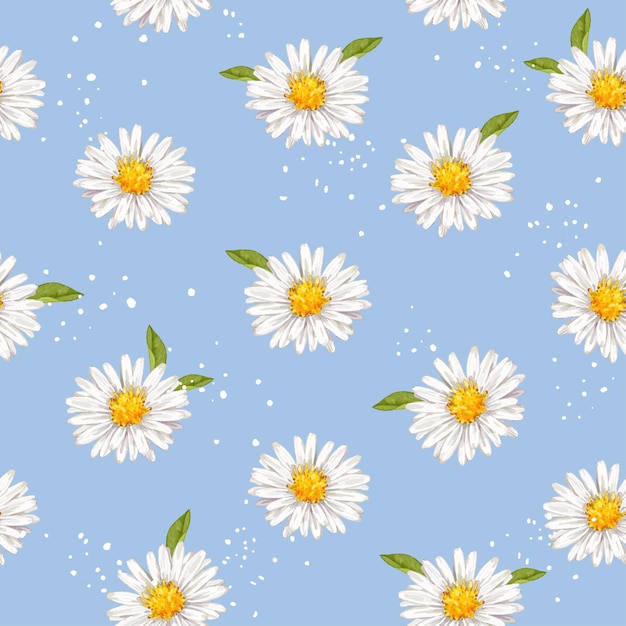 Vector hand drawn watercolor daisies flower  seamless pattern background