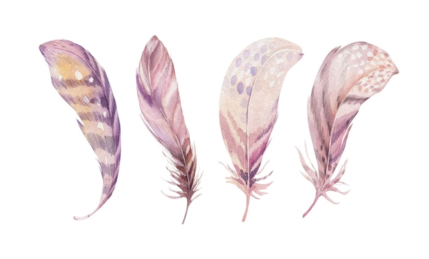 Vector hand drawn watercolor feather set boho style illustration