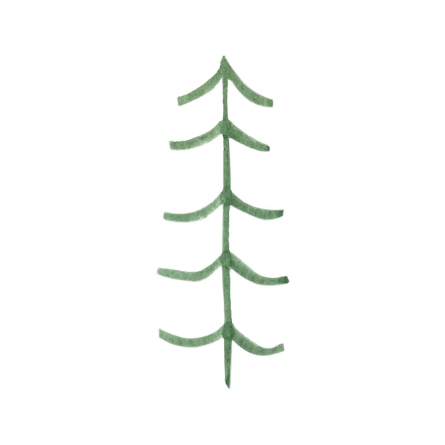 Hand drawn watercolor fir tree forest clipart