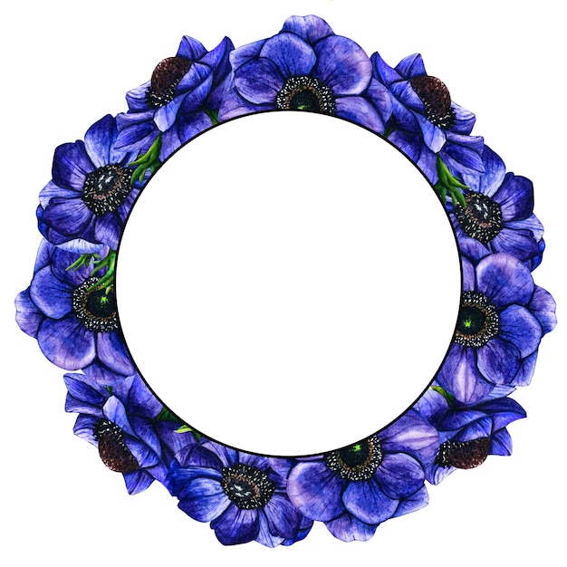 Vettore quadro ad acquerello disegnato a mano fiori anemone viola su sfondo bianco illustrazione botanica floreale primaverile isolata per biglietti di auguri invito a matrimonio biglietto di compleanno e giorno della madre