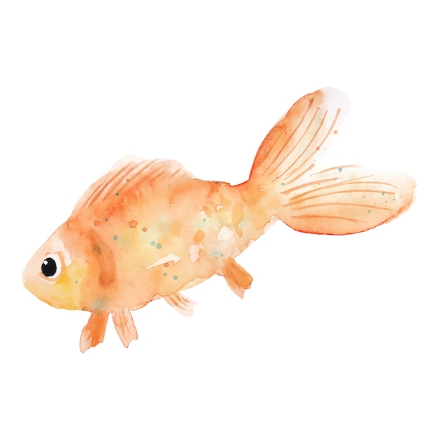 Hand drawn watercolor goldfish illustration isolated on white background Carp fish pet clipart for greeting cards logo kids design print