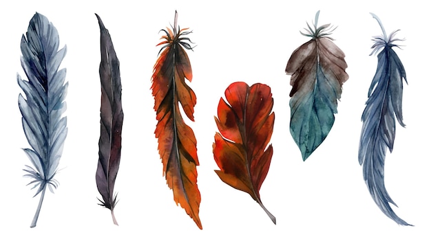 Hand drawn watercolor illustration bird feather plume quill boho tribal ethnic indian Set of objects isolated on white background Design for charm scrapbooking dreamcatcher handmade craft tattoo