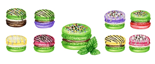 Hand drawn watercolor illustration od french macaroon cakes set.