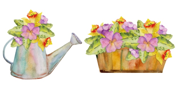 Vector hand drawn watercolor illustration spring gardening watering can and wooden box with flowers leaves set of objects isolated white background design print shop scrapbooking packaging decoupage