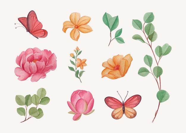Hand drawn watercolor leaves and flowers set