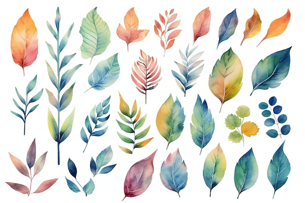 hand drawn watercolor leaves for print
