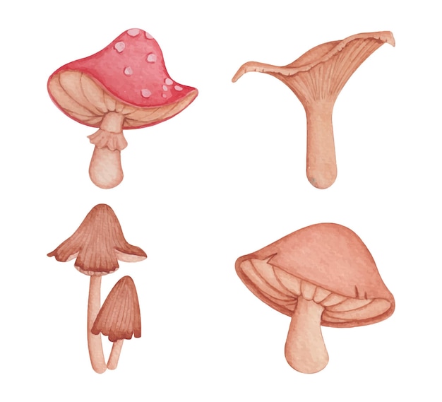Hand drawn watercolor mushroom collection