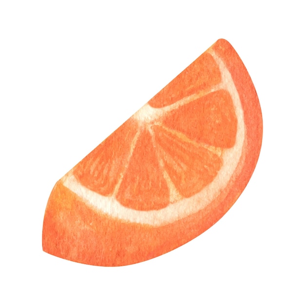 Hand drawn watercolor orange slice clipart. Cute watercolor illustration.