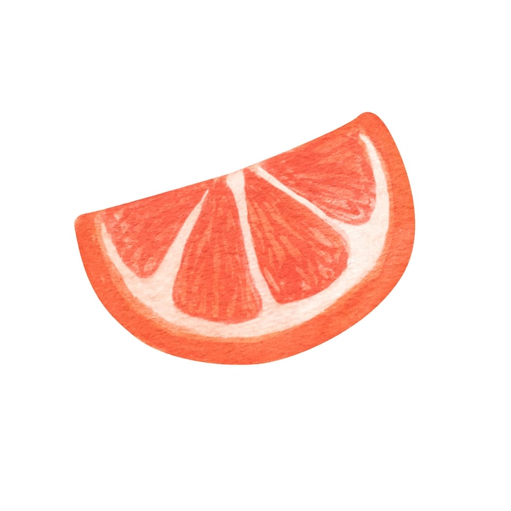 Vector hand drawn watercolor orange slice clipart. cute watercolor illustration.
