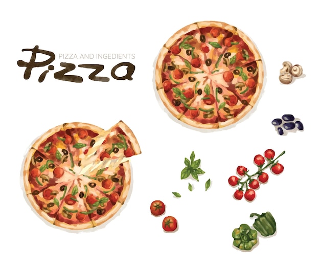 Hand drawn watercolor of pizza and ingredients including tomato black olive bell pepper basil