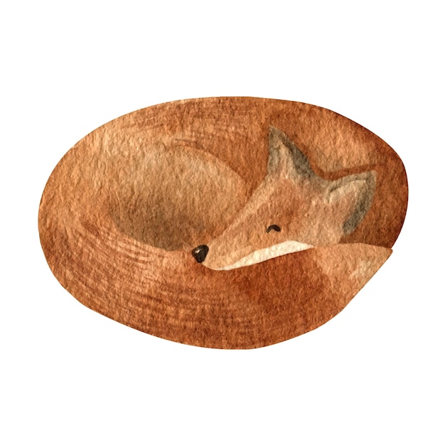 手描きの水彩赤狐現実的な森の動物