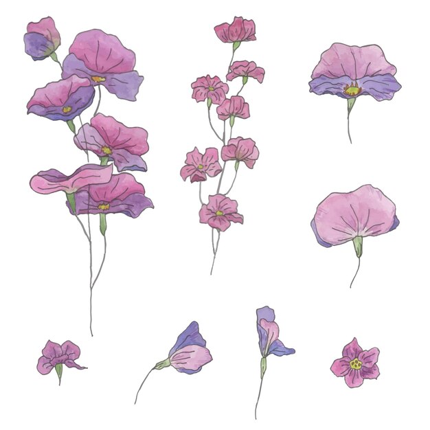 Vector hand drawn watercolor set of flowers