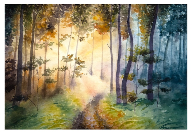 Hand drawn watercolor sunset woods Watercolor sunny forest landscape