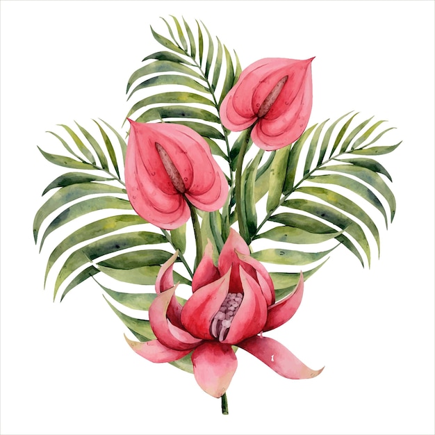 Hand drawn watercolor tropical clipart tropic flowers botanical illustration leaves calla lily