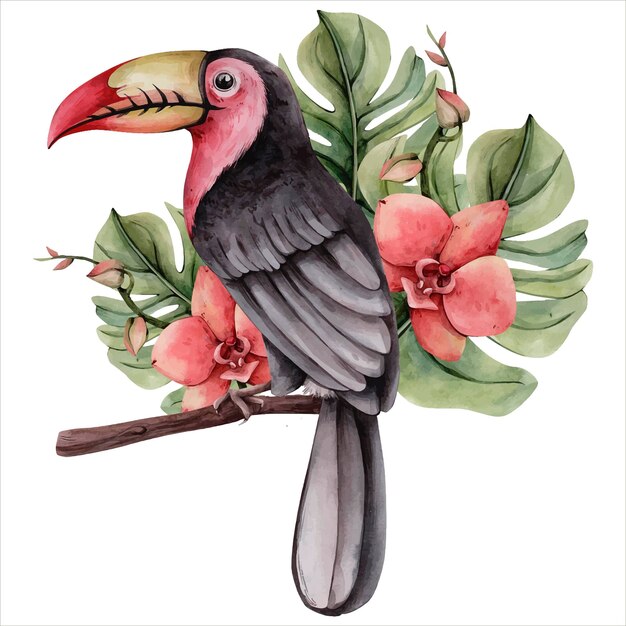 Vector hand drawn watercolor tropical clipart tropic toucan bird with flowers botanical illustration