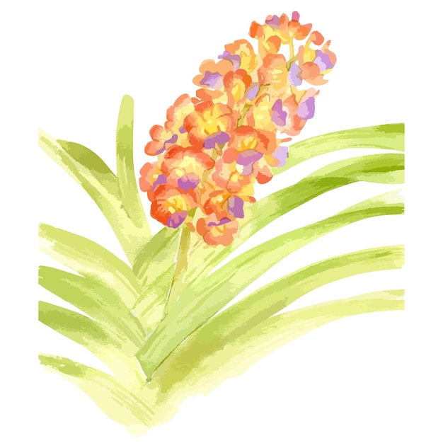 Vector hand drawn watercolor vector of orange orchid flower