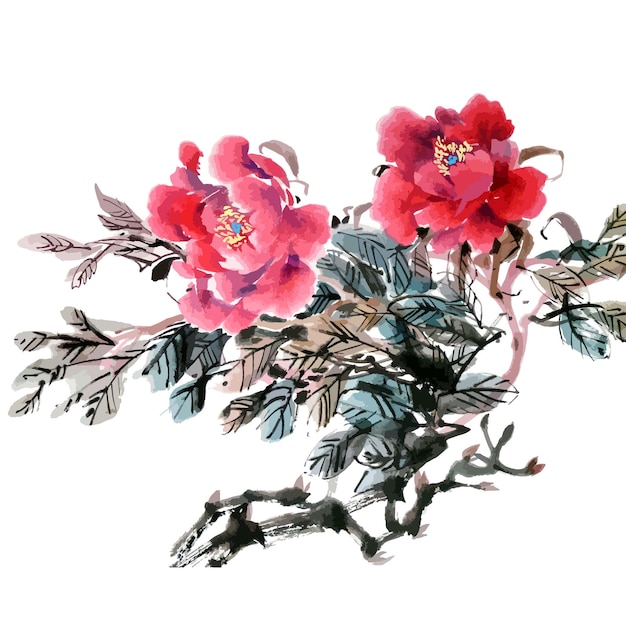 Hand drawn watercolor vector of peonyflowers