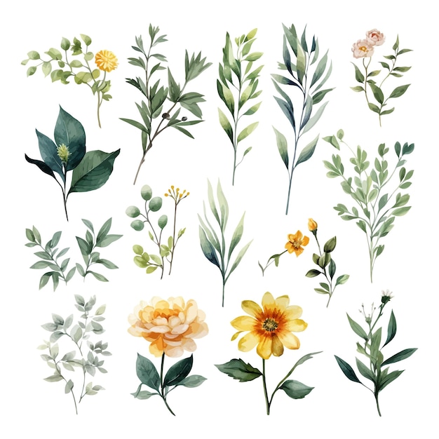 hand drawn watercolour floral leaves illustration clipart