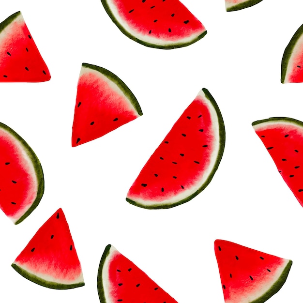 Vector hand drawn watermelon fruit seamless pattern design on white background