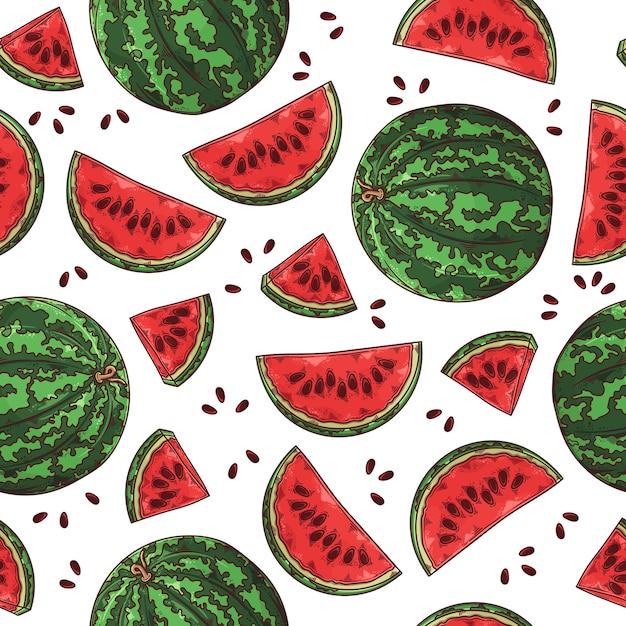   hand drawn watermelon. Seamless pattern.  